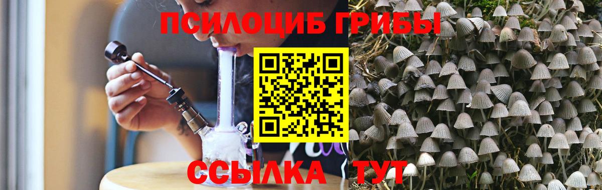 Псилоцибиновые грибы MAGIC MUSHROOMS Фурманов