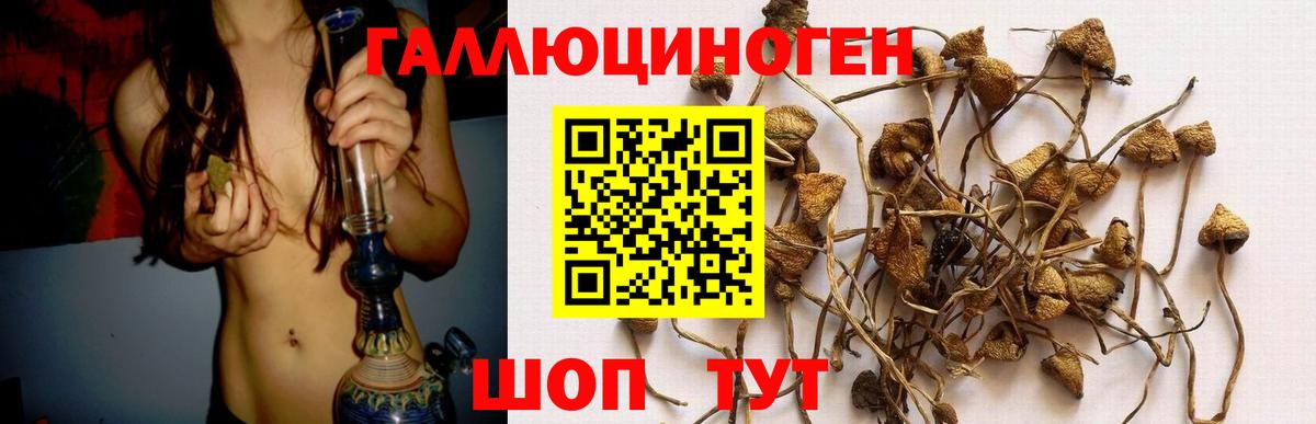 Фурманов  Галлюциногенные грибы прущие грибы  где купить наркоту  Вход с VPN  Псилоцибиновые грибы Psilocybe 
