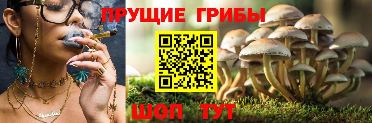 Меф кристаллы  Кокаин  Вход с VPN  Гашиш  Фурманов  Марихуана 
